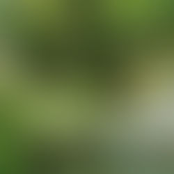 Водопад Райков вир