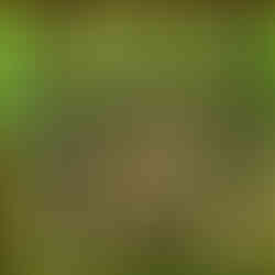 Класна стая на открито (екопътека "Марина река")