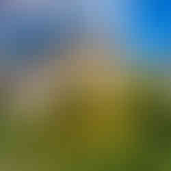 Късносредновековна църква "Св. св. Теодор Тирон и Теодор Стратилат" в село Добърско, област Благоевград