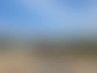 Екопътека "Алея на Свободата", свързваща гр. Панагюрище и Историческа местност Оборище