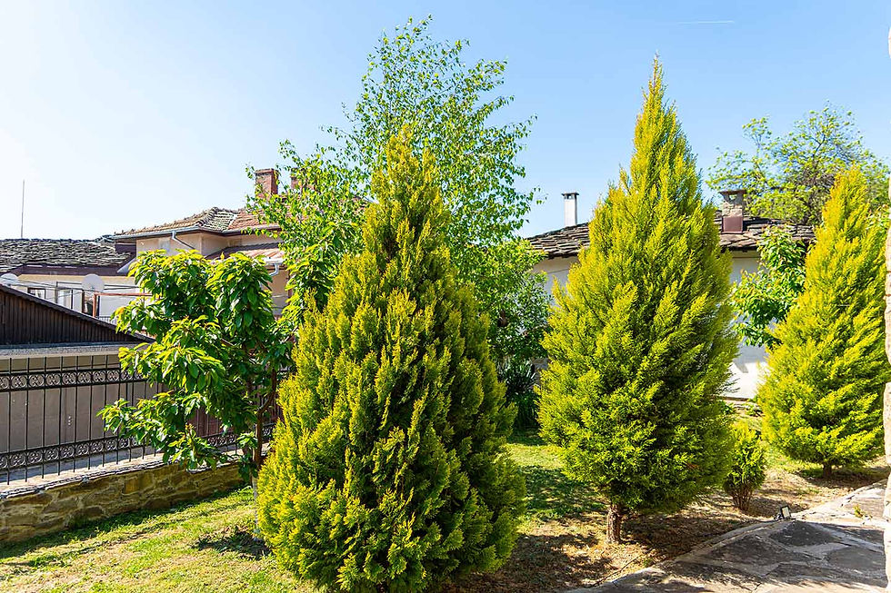 Възрожденски храм "Света Троица" в град Дряново