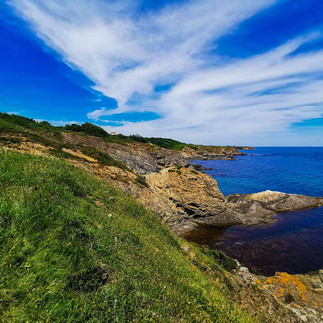 Панорама край плаж "Велека"