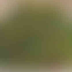 Цветни лехи около водопиен павилион "Момина сълза" в град Хисаря