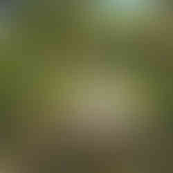 Парк "Орфеев дол" в град Хисаря