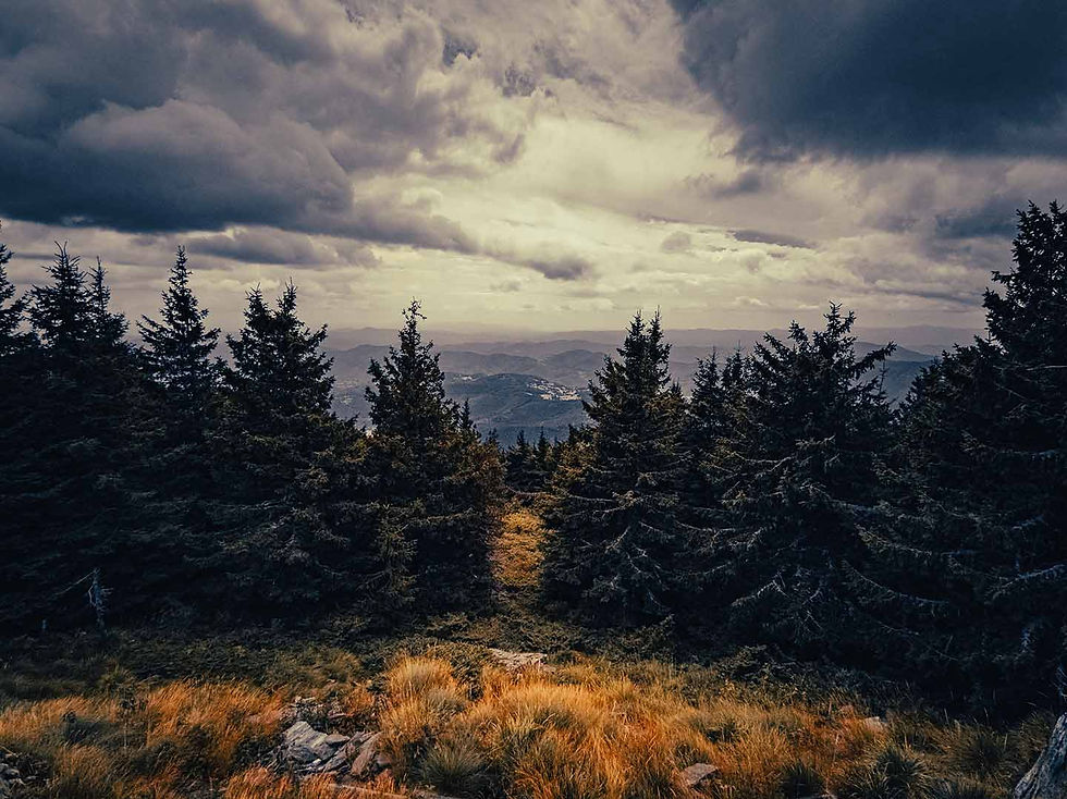 Панорама от връх Свобода