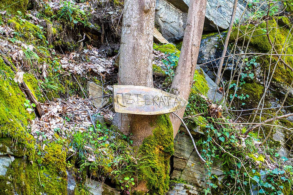 "Menta" Eco-trail in Rila near Golyamo Belovo