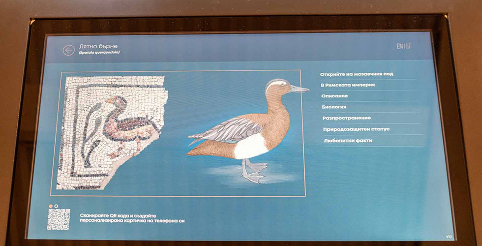 Музеен комплекс "Епископска базилика" на Филипопол – монументален паметник и най-големият и най-добре запазен мозаечен ансамбъл от Ранното християнство в Европа
