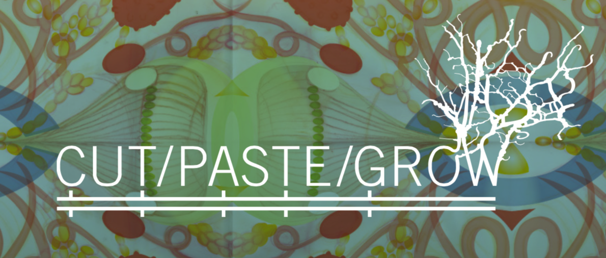 Cut/Paste/Grow