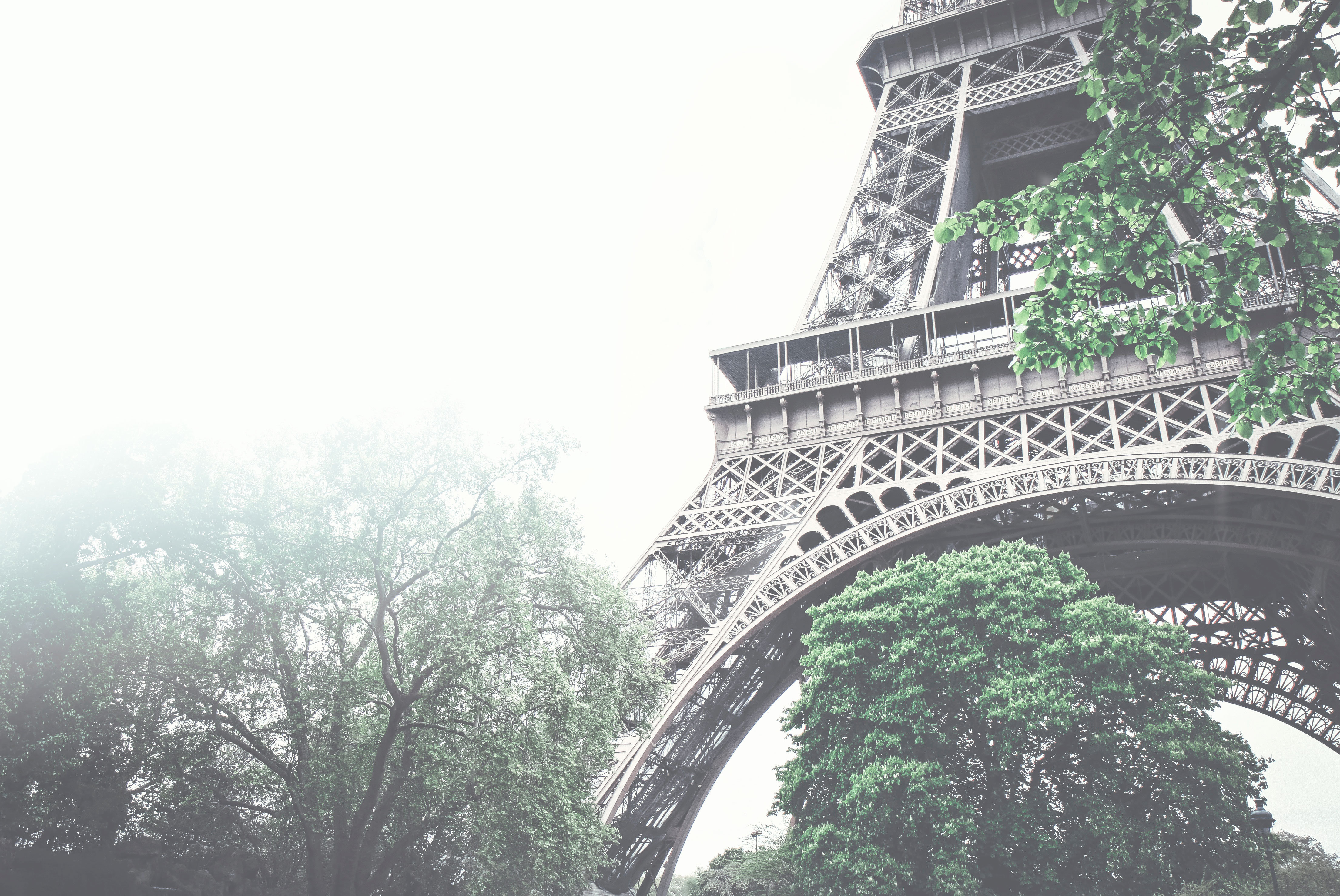 PARIS CHIC