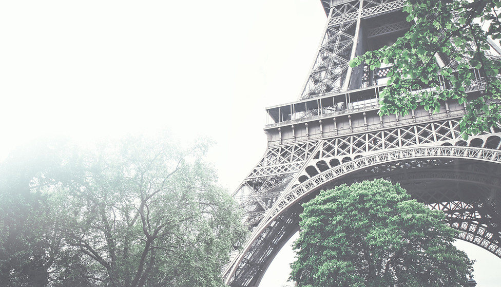 Eiffel Tower View