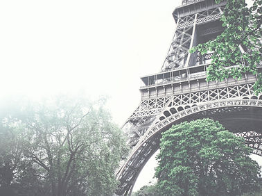 Eiffel Tower View