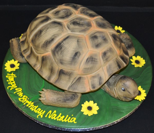 Bespoke tortoise-shaped cake with detailed shell patterns for a celebration in Solihull, West Midlands.