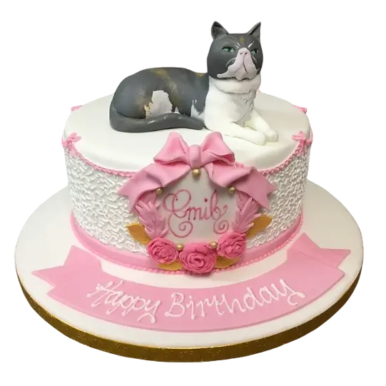 Bespoke celebration cake in Solihull, West Midlands featuring a detailed fondant cat figure atop white icing.