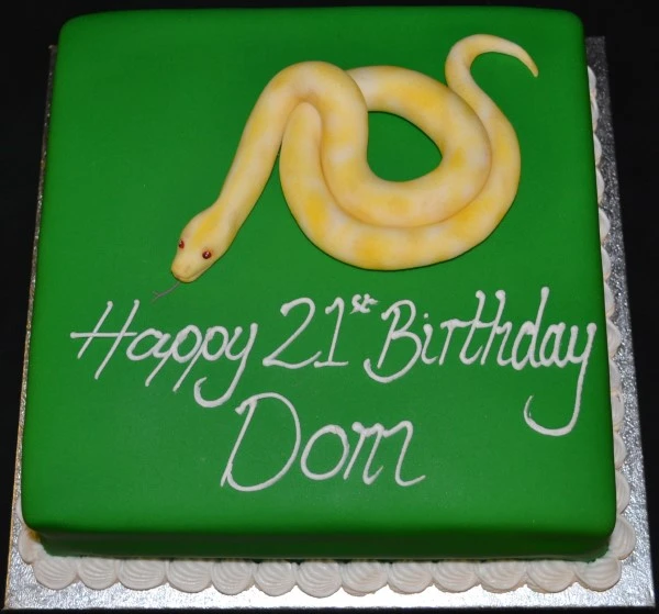 Bespoke square cake featuring a detailed edible snake design, crafted in Solihull, West Midlands for celebration.