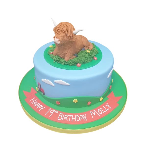 Bespoke cake shaped like an Aberdeen Angus cow with detailed black and brown patterns, Solihull, West Midlands.