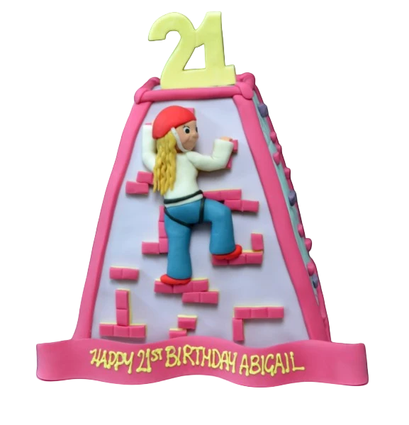 Bespoke climbing wall cake with edible rock holds and ropes, perfect for celebration in Solihull, West Midlands.