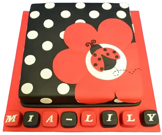 Bespoke ladybird-themed celebration cake with spotted blocks in Solihull, West Midlands.