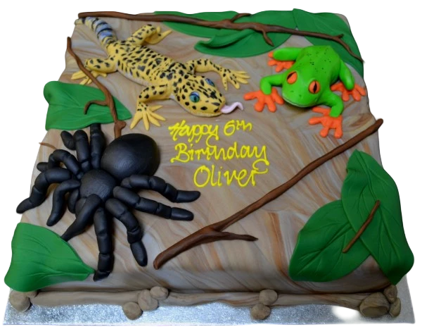 Bespoke celebration cake in Solihull, West Midlands featuring detailed tropical creatures, tree frog, and tarantula designs.