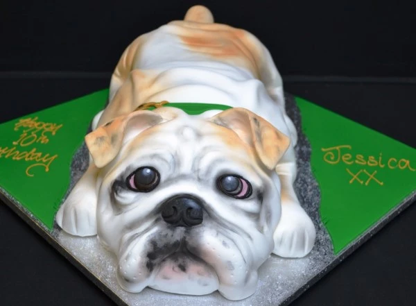 Bespoke English Bulldog cake with detailed fondant features, crafted for celebration in Solihull, West Midlands.