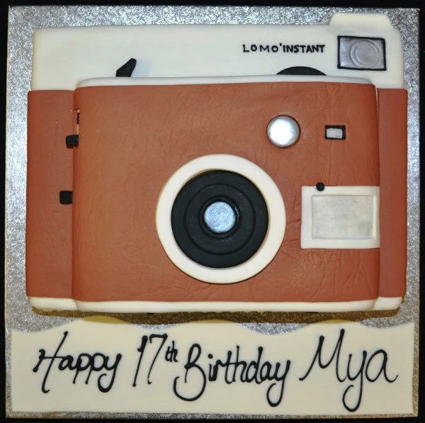 Bespoke vintage camera cake with intricate lens and buttons, crafted for celebration in Solihull, West Midlands.