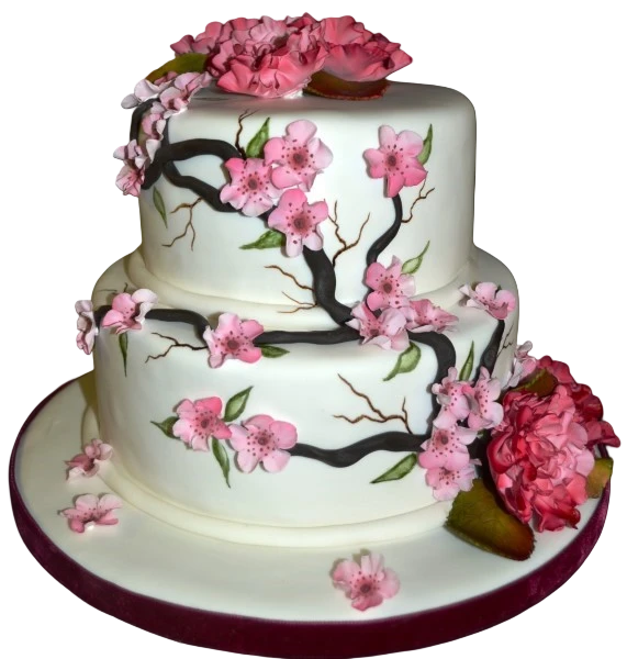 Bespoke cake with delicate pink cherry blossom decorations, crafted for celebration in Solihull, West Midlands.