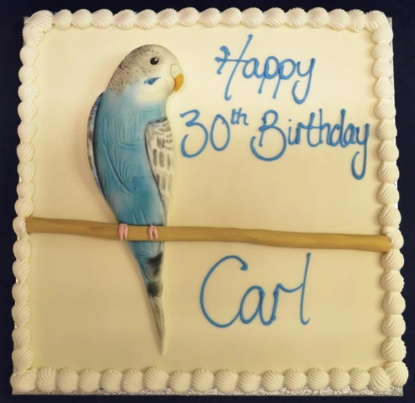 Bespoke square cake topped with a detailed budgie decoration, crafted in Solihull, West Midlands for celebration.