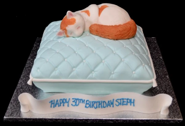 A beautifully decorated cat-themed cushion cake perfect for any cat lover's special occasion. Crafted with intricate details and vibrant colours.