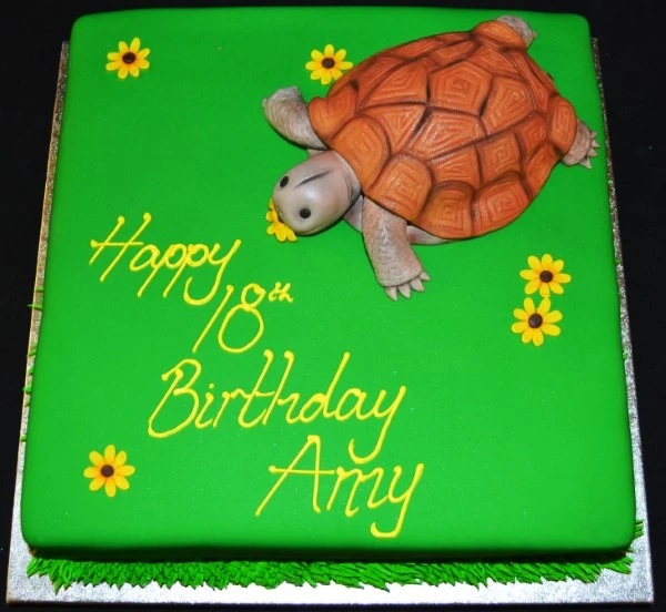 Bespoke tortoise-shaped cake with detailed shell patterns, crafted for celebration in Solihull, West Midlands.