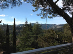 2014-02-13 09.04.42.jpg