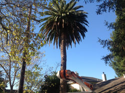 2013-09-07 08.35.05.jpg