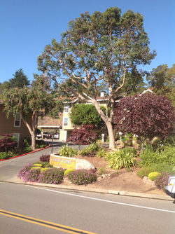 2013-10-02 09.51.58.jpg