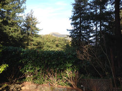 2014-02-05 09.16.00.jpg