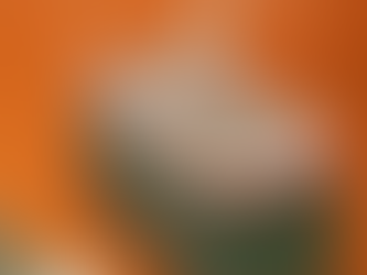 Esquentar a marmita com o Sol?