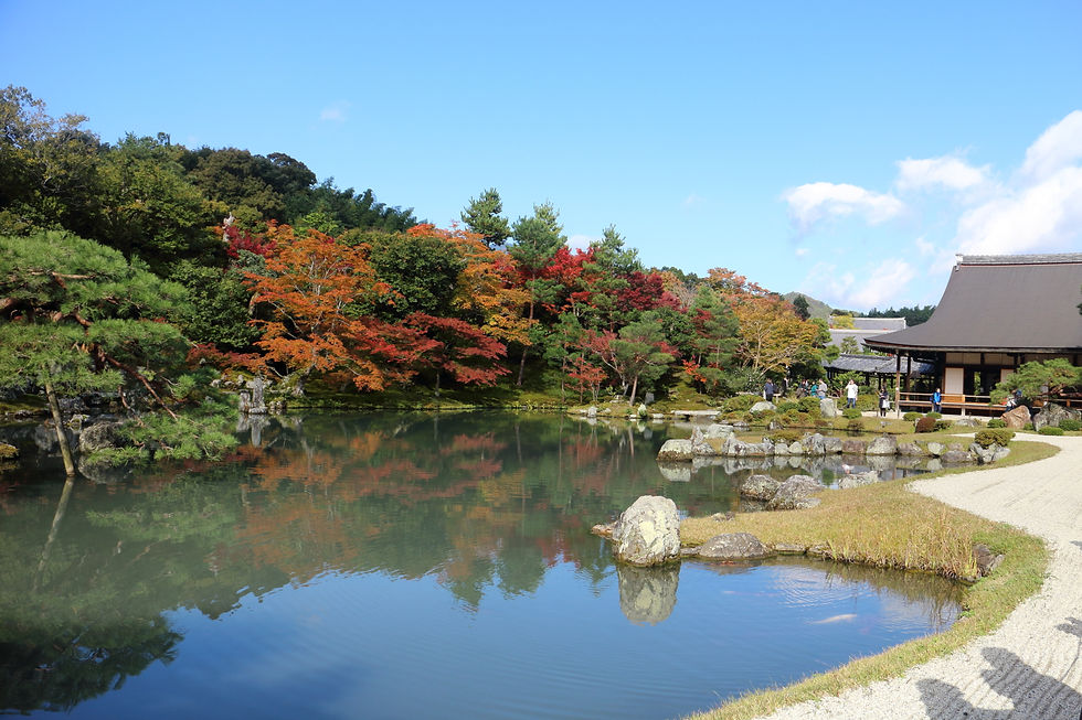 Fotos aleatórias - Random pics