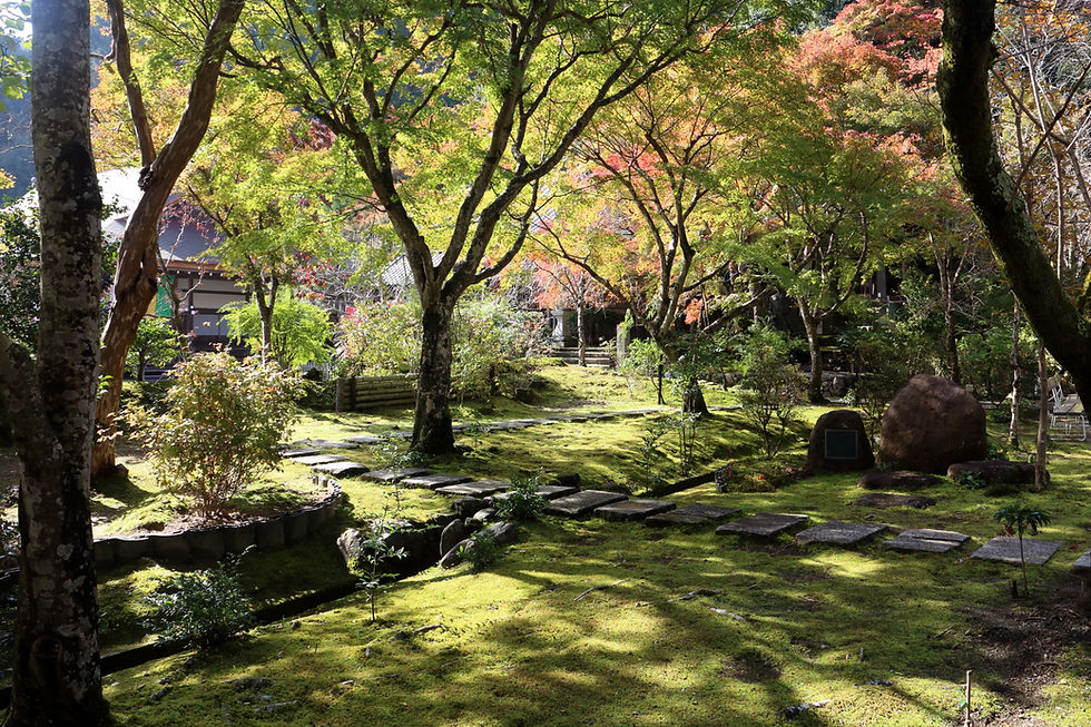 Random picture - Japan 