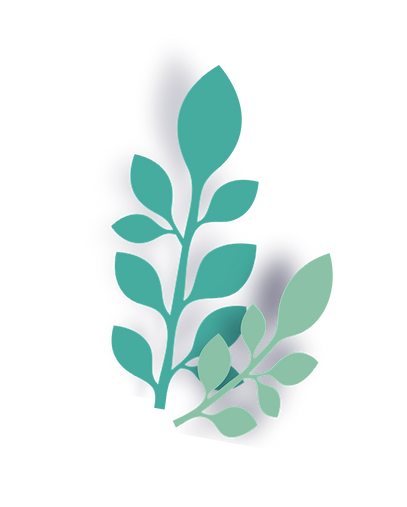 PLANTS_edited.png