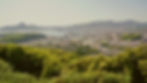 23967354_m_edited.jpg