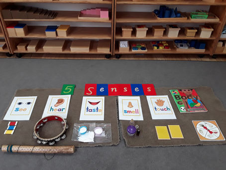 Connecting Montessori Education with Modern Cognitive Science: Six Key Learning Principles in Practice