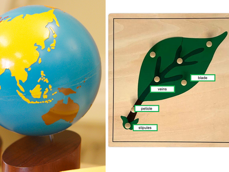 Montessori and the Culture Curriculum