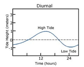 Diurnal tide cycle