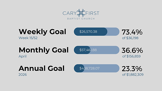 Budget Progress (8).png