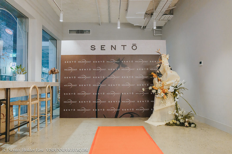 Sento_0024_Vispenn (1).jpg