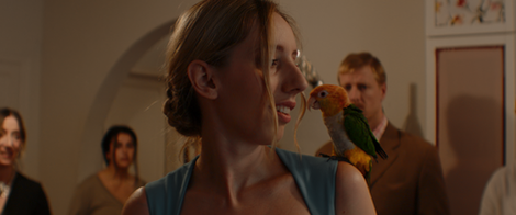 Still 2026-02-11 230212_1.138.1