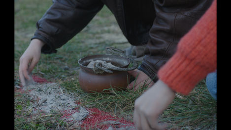 Still 2025-02-03 153132_1.10.1.T