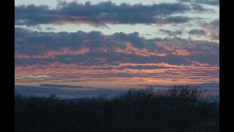 Still 2025-02-03 153132_1.15.1.T