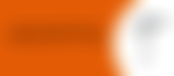 8 Common Toilet Flush Valve Problems and How to Fix Them