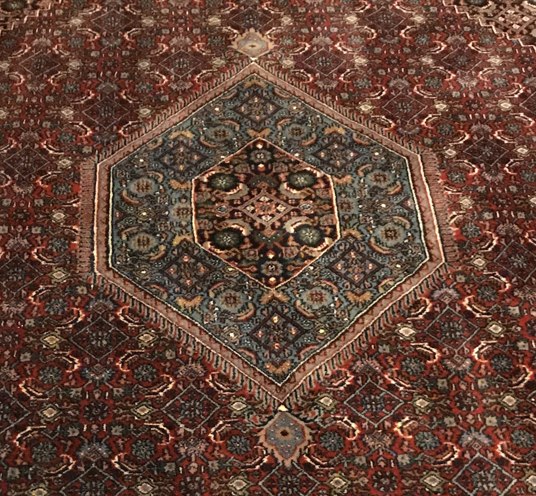 Area Rugs Manchester Nh Bryont Rugs and Livings