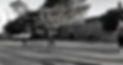 Untitled design_edited.jpg