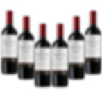 Botella de vino tinto Seleccion.