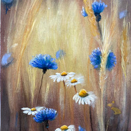Cornflowers and daisies in wheat field